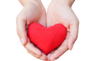 Social Leader's Holiday Gift-Giving Guide