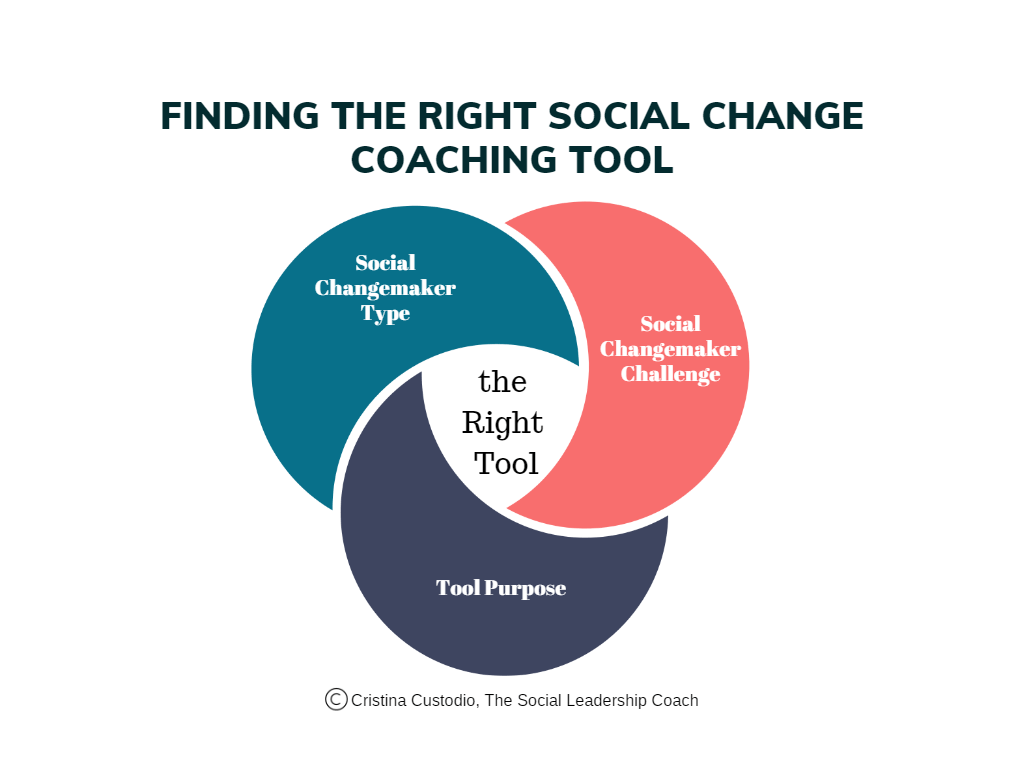 Finding Right Social Change Coaching Tool Venn Diagram